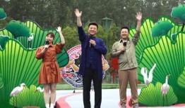 宝鸡高速最新爆料新闻视频,视频揭秘事故现场，安全警示引关注